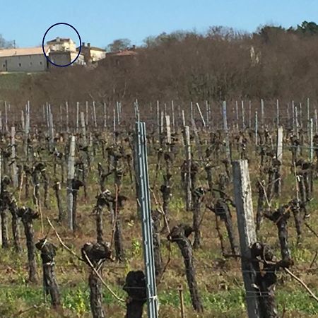 Superbe Gite A La Campagne Dans Le Bordelais Saint-Vivien-de-Blaye Экстерьер фото