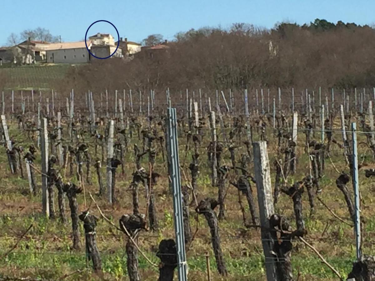 Superbe Gite A La Campagne Dans Le Bordelais Saint-Vivien-de-Blaye Экстерьер фото